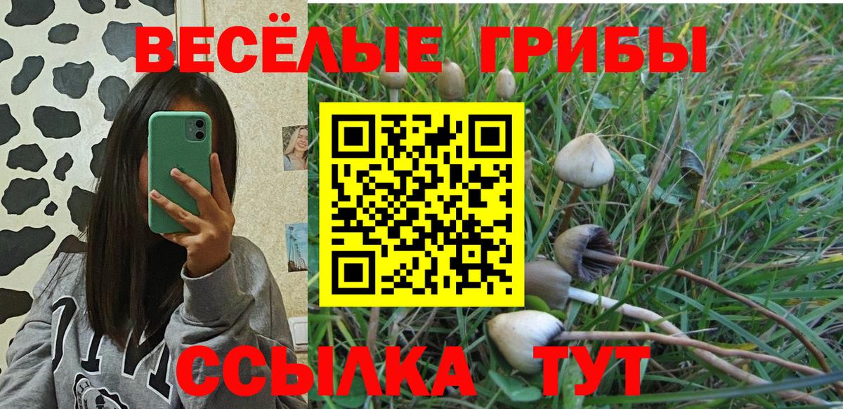 Псилоцибиновые грибы прущие грибы Петропавловск-Камчатский