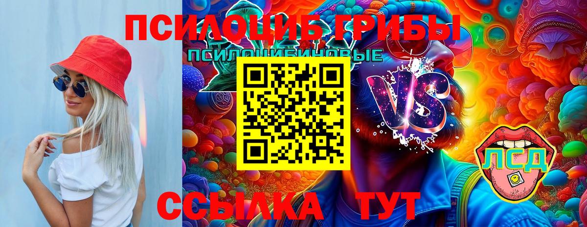 Галлюциногенные грибы мицелий  Вход с VPN  Петропавловск-Камчатский 