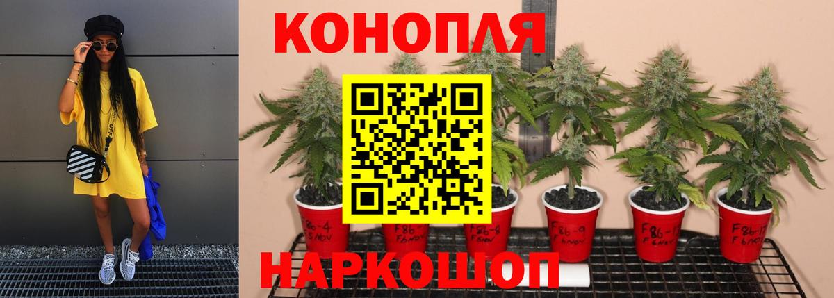 Петропавловск-Камчатский  Конопля планчик  Вход с VPN  Канабис SATIVA & INDICA  Каннабис AK-47 